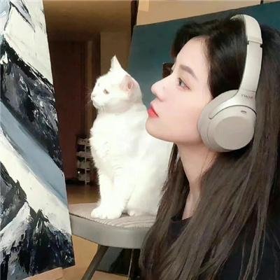 纯运气
