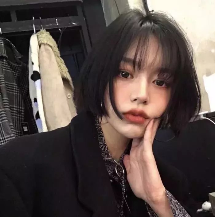 虎鲨在行动